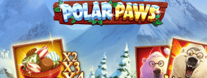 polar paws title picture