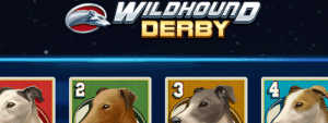 Wildhound Derby Slot Review - Play'n GO