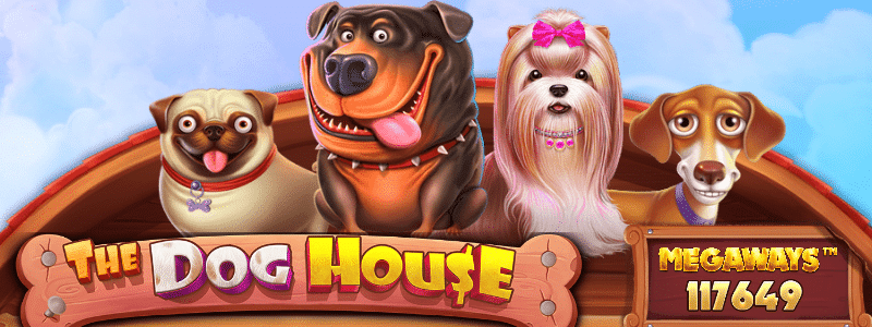 Dog house megaways догхаус