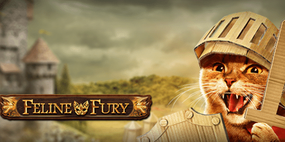 Feline Fury Slot Review - Play'n Go