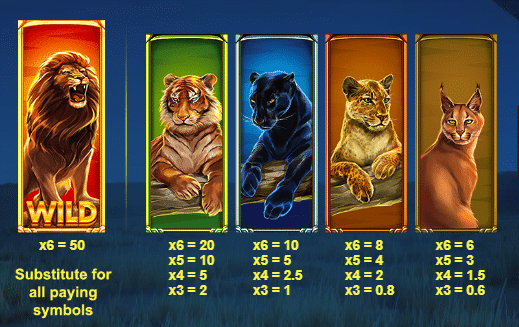 Wild Cats Multiline Slot Review Red Tiger Gaming Visuals Bonus Win Casino