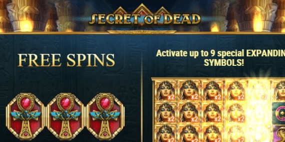 Secret Of Dead Slot Review - Play'n Go