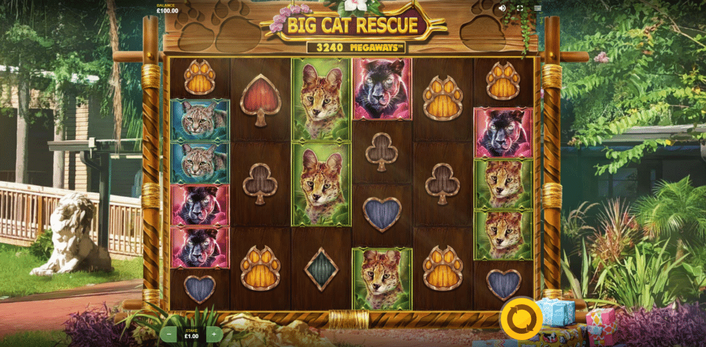 Big Cat Rescue Megaways Slot Review Red Tiger Gaming Visuals Symbols Bonus Wild Multiplier Free Spin