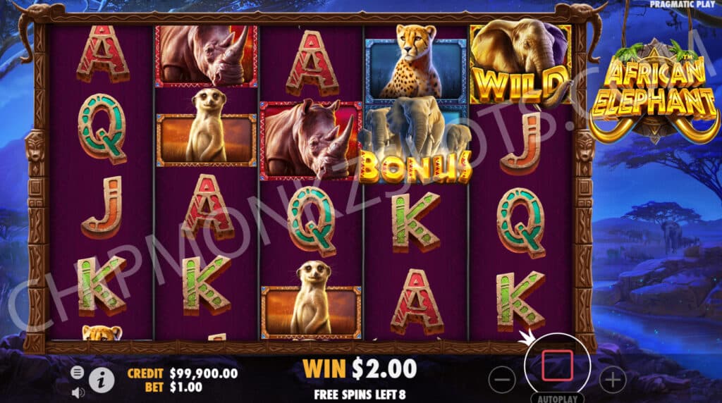 African Elephant Pragmatic Play Casino Slots Review High Variance Bonus Buy Wild Shape Free Spins