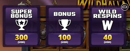 Wildhalla SlotMill Slot Review Online Slots Casino New Volatile Free Games Bonus